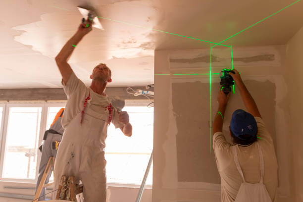 Best Fire-Damaged Drywall Repair  in Bridgman, MI